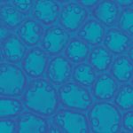 cell under microscope